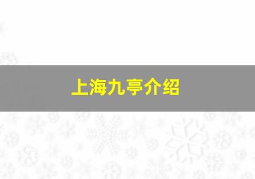 上海九亭介绍