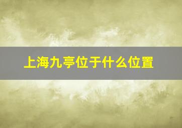 上海九亭位于什么位置