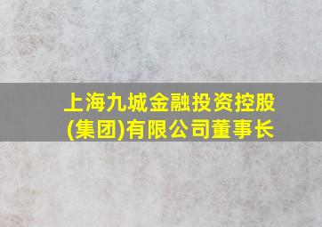 上海九城金融投资控股(集团)有限公司董事长