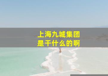 上海九城集团是干什么的啊