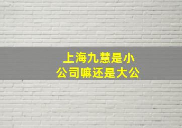 上海九慧是小公司嘛还是大公