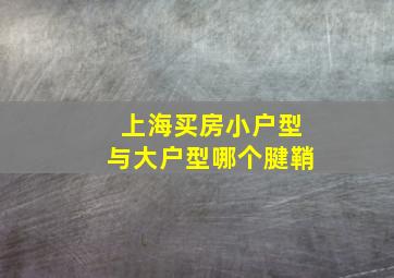 上海买房小户型与大户型哪个腱鞘