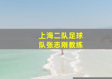 上海二队足球队张志刚教练