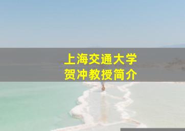 上海交通大学贺冲教授简介