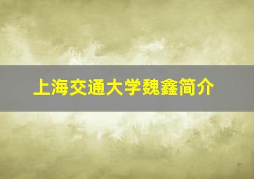 上海交通大学魏鑫简介