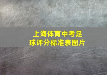 上海体育中考足球评分标准表图片