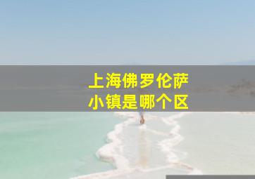 上海佛罗伦萨小镇是哪个区