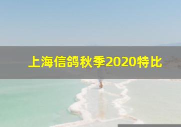 上海信鸽秋季2020特比