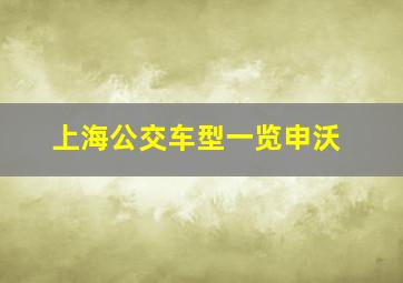 上海公交车型一览申沃