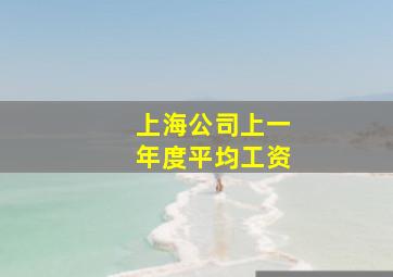 上海公司上一年度平均工资