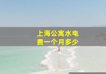 上海公寓水电费一个月多少