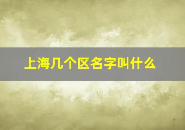 上海几个区名字叫什么