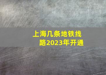 上海几条地铁线路2023年开通