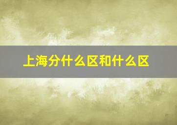 上海分什么区和什么区