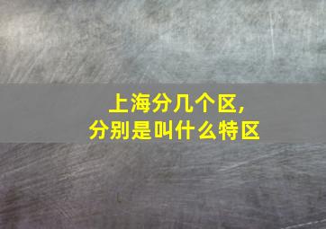 上海分几个区,分别是叫什么特区