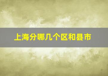 上海分哪几个区和县市