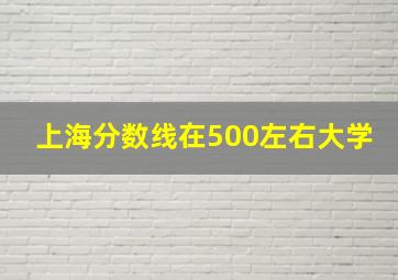 上海分数线在500左右大学