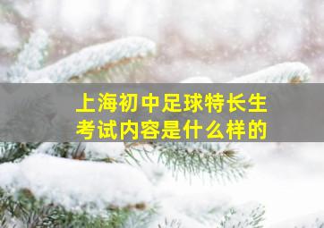 上海初中足球特长生考试内容是什么样的