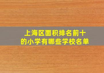 上海区面积排名前十的小学有哪些学校名单