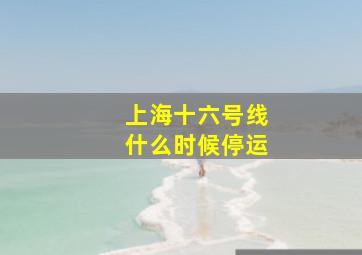 上海十六号线什么时候停运