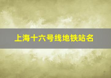 上海十六号线地铁站名