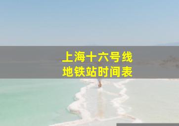 上海十六号线地铁站时间表