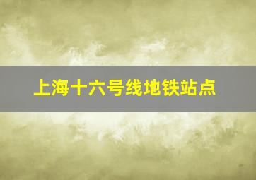 上海十六号线地铁站点