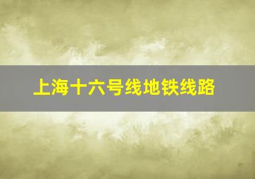 上海十六号线地铁线路