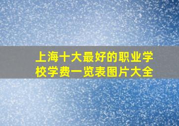 上海十大最好的职业学校学费一览表图片大全