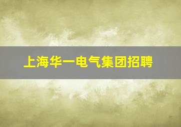 上海华一电气集团招聘