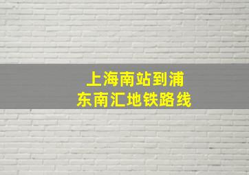 上海南站到浦东南汇地铁路线