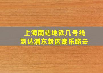 上海南站地铁几号线到达浦东新区潮乐路去