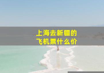 上海去新疆的飞机票什么价