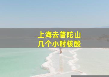 上海去普陀山几个小时核酸