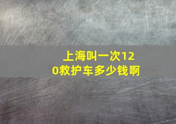 上海叫一次120救护车多少钱啊