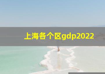 上海各个区gdp2022