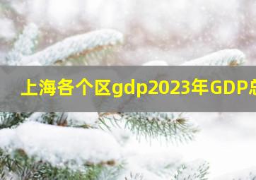 上海各个区gdp2023年GDP总量