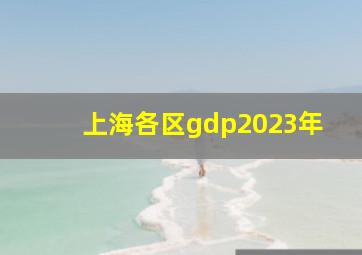 上海各区gdp2023年