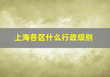 上海各区什么行政级别