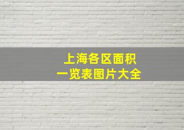 上海各区面积一览表图片大全