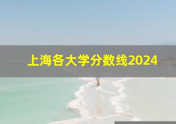 上海各大学分数线2024