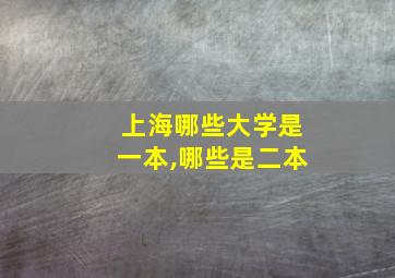 上海哪些大学是一本,哪些是二本