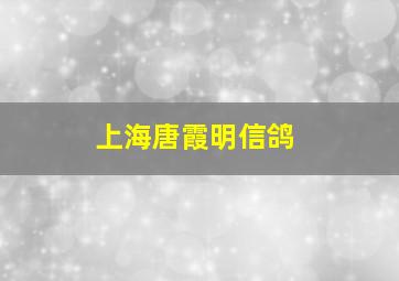 上海唐霞明信鸽