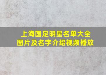 上海国足明星名单大全图片及名字介绍视频播放