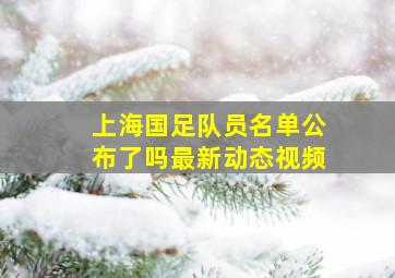 上海国足队员名单公布了吗最新动态视频