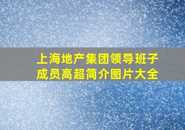 上海地产集团领导班子成员高超简介图片大全