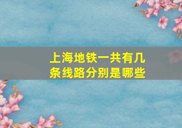 上海地铁一共有几条线路分别是哪些