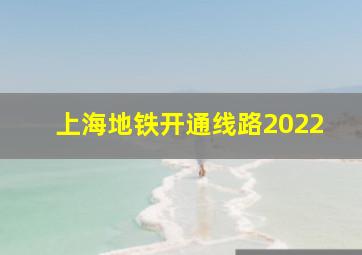 上海地铁开通线路2022