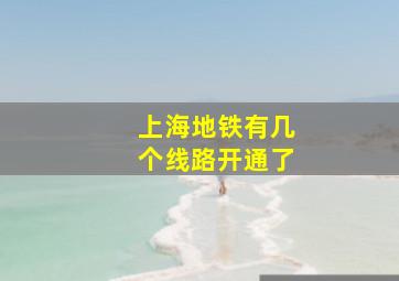 上海地铁有几个线路开通了