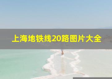 上海地铁线20路图片大全